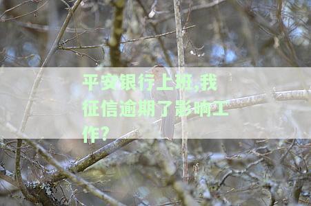 平安银行上班,我征信逾期了影响工作吗？逾期记录多久上传一次？还需要查征信吗？贷款逾期会怎样影响个人信用？