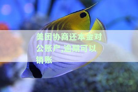 美团协商还本金对公账户,逾期可以销账