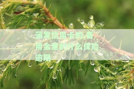浦发备用金投保全解析：流程、取消及风险一网打尽