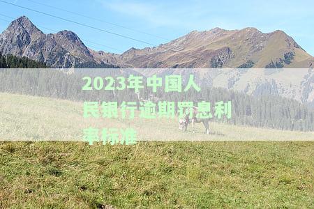 2023年中国人民银行逾期罚息利率标准是多少？详细解析与计算方法
