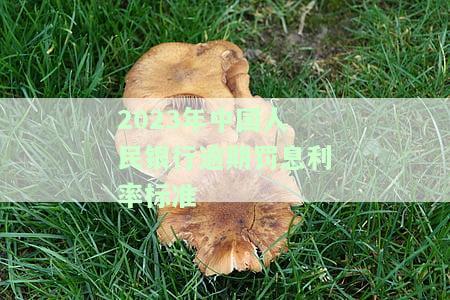 人民银行逾期贷款罚息利率计算标准及计算器