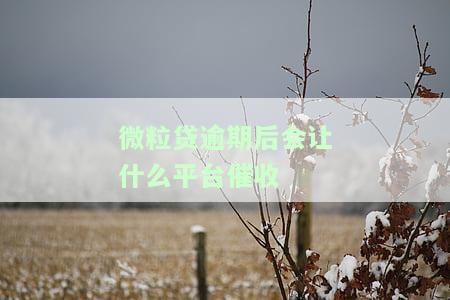 微粒贷逾期：全攻略！逾期一天会影响征信吗？一年亲身经历分享。逾期多久会被起诉？后果严重。逾期4天催收：全额结清并约谈家人朋友是真的吗？