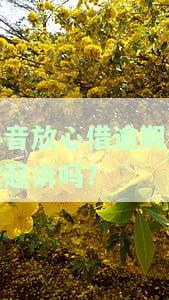 抖音放心借逾期会被起诉吗？了解可能的法律后果与解决方法