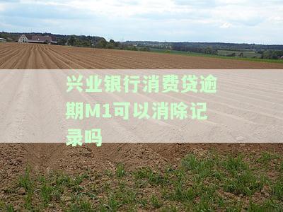 兴业消费贷款逾期次数与提前收回贷款的关系，逾期多久会上诉？逾期一天是否会影响征信？兴业消费金融贷款逾期几个月后能否只还本金？逾期后果是什么？