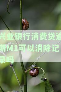 兴业银行消费贷逾期M1可以消除记录吗