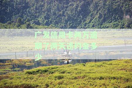 广发信用卡两万逾期两天，违约金多少？如何计算与查询手续费？