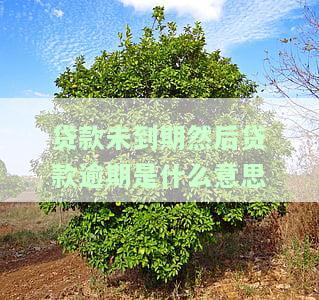 贷款未到期但欠息是否算逾期？影响及解决办法全解析