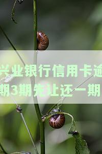 兴业银行信用卡逾期3期先让还一期吗？欠款39000元逾期3个月，能否分期还款？