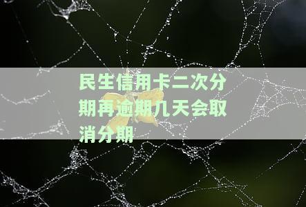 民生银行分期还款再分期还款：如何操作、一次性还完？