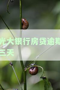 光大银行房贷逾期三天会自动扣款吗？忘记还款会影响信用吗？