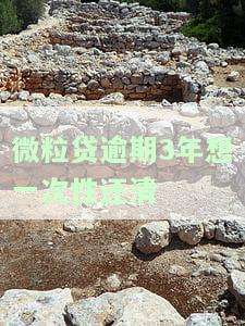 微粒贷逾期三年后还4000，能否再借款？