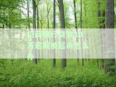 招商银行贷款10万逾期被起诉如何处理？