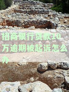 招商银行贷款多久不还才会被起诉？逾期后果及影响解析