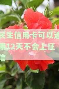 民生信用卡逾期：如何协商还款？逾期多久会影响信用记录？