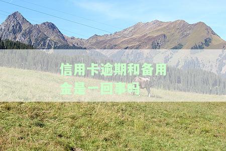 逾期还备用金会怎么样？影响、处理及恢复使用全解析