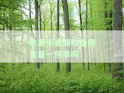 欠信用卡备用金被起诉的后果是什么？与欠信用卡有何不同？