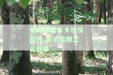 爱用商城开通季卡能否借款？安全吗？是否需要成为会员才能下款？