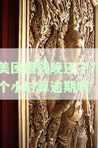 美团借钱晚还几小时算逾期？影响大吗？