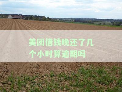 美团借款晚还几个小时有影响吗？影响程度及解决办法全解析