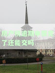 房产税逾期申报需带何物至税务？全解