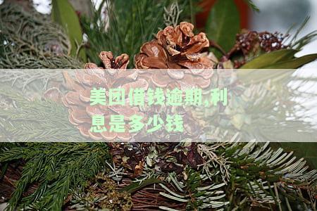 美团借钱逾期如何解决？美团借钱逾期是否会上征信？