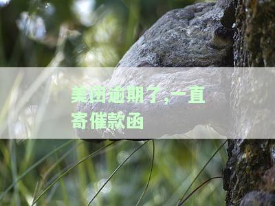 美团逾期了,一直寄催款函