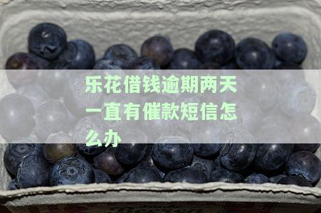 乐花借钱逾期两天一直有催款短信怎么办