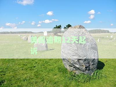 美团逾期12天起诉会有什么后果？