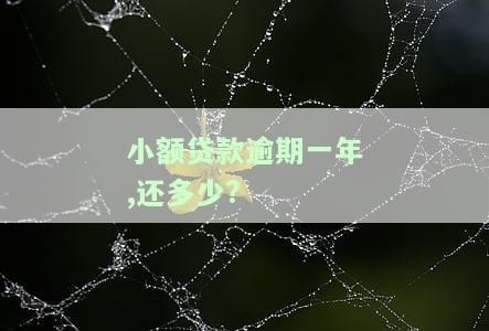 小额贷款逾期一年多怎么办？影响严重，需及时处理！