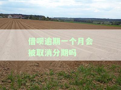 借呗逾期一个月会被取消分期吗-借呗逾期一个月会被取消分期吗怎么办