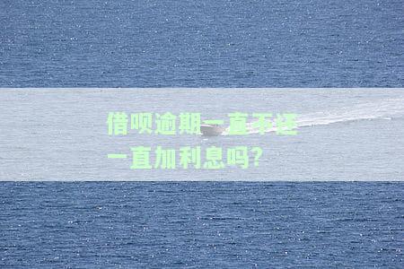借呗逾期未还：利息持续增加，如何解决？