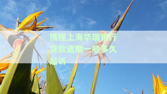 携程上海华瑞银行贷款逾期一般多久起诉-携程上海华瑞银行贷款逾期一般多久起诉