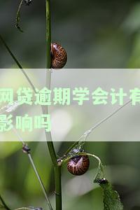 网贷逾期会对考驾照产生影响吗？