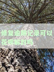 花呗逾期记录修复后多久能提额？修复后信用恢复时间及影响解析