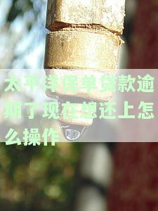 太平洋保单贷款逾期了现在想还上怎么操作
