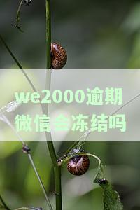 WE2000逾期会扣微信钱包吗？还会被起诉吗？逾期2千多块会怎样？还款后能否再次使用？