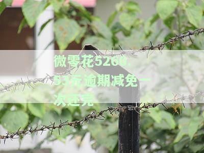 微零花还款时间、方式与利息说明