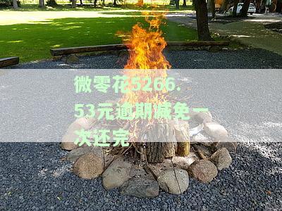 微零花还款方式全解析：包括正常还款、提前还款、还款失败等情况