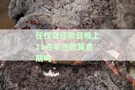 任性贷：当天几点还款都行，不影响征信和额度，逾期以还款日为准，晚上11点半也可还款