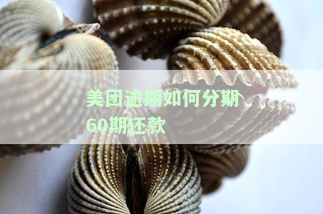 美团分期未还完能否再次借款？影响购房贷款吗？