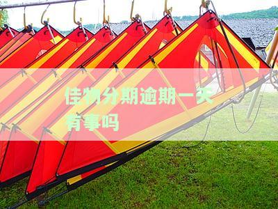 佳物分期未按时还款的后果及解决办法
