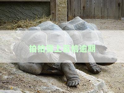 拍拍贷上百信逾期处理方法及放款成功率分析