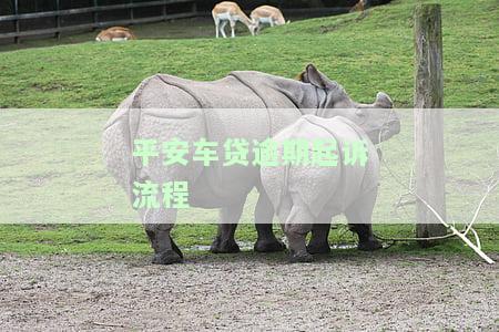 平安车贷逾期起诉流程及费用详解：包括起诉流程、费用标准以及逾期多久会面临一次性还清的压力。