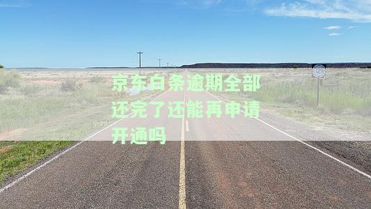 京东白条逾期全部还完后能否再次开通？知乎用户分享经验