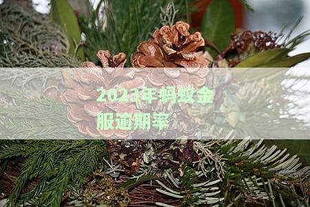 2023年蚂蚁金服逾期率公布：几万块逾期还款严重程度及可能面临的法律后果分析，如何看待蚂蚁金服延期上市？