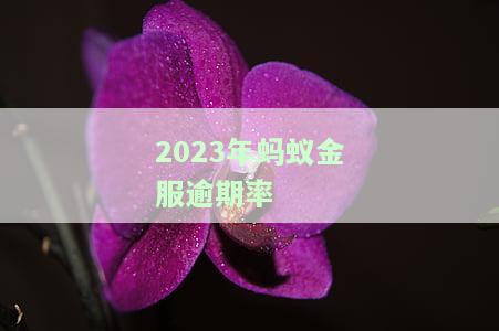 2023年蚂蚁金服逾期率-2023年蚂蚁金服逾期率高吗