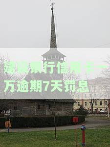 建行信用卡16000逾期一天利息是多少？具体金额是多少？逾期一年会有什么后果？
