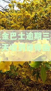 现金巴士逾期多久会打联系人电话？四年未还是否会被遗忘？仅还本金可行吗？逾期费用如何处理？