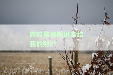 微粒贷逾期说冻结我的财产