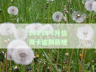 全面解析2023年5月信用卡逾期新规定及其影响